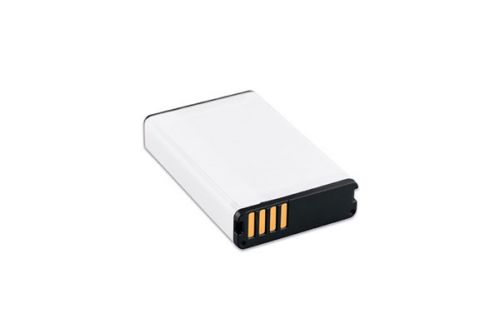 Garmin Lithium-ion Battery Pack 