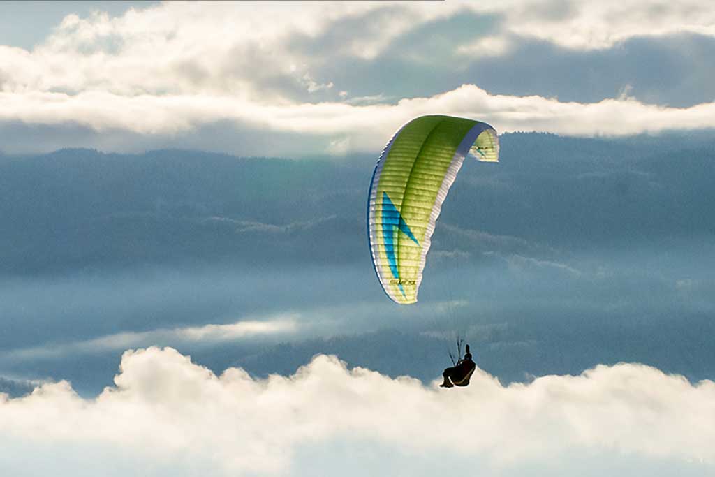 Swing Arcus 2 RS 