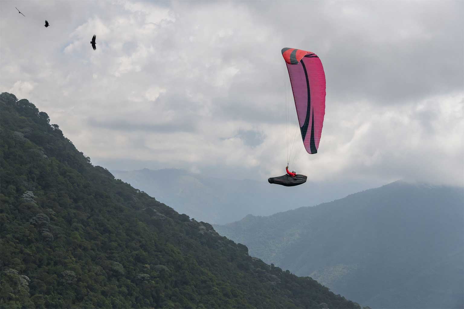 Skywalk Cayenne 6 