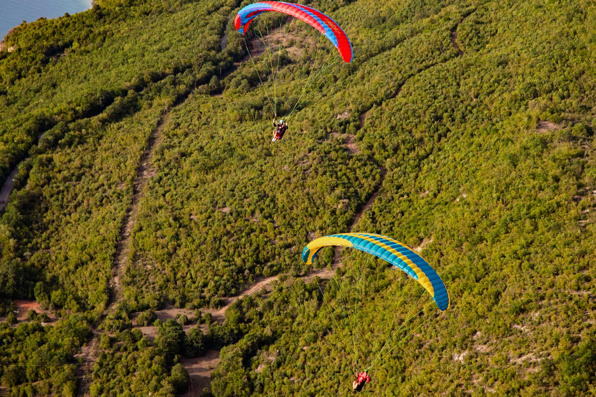 Icaro Falco 