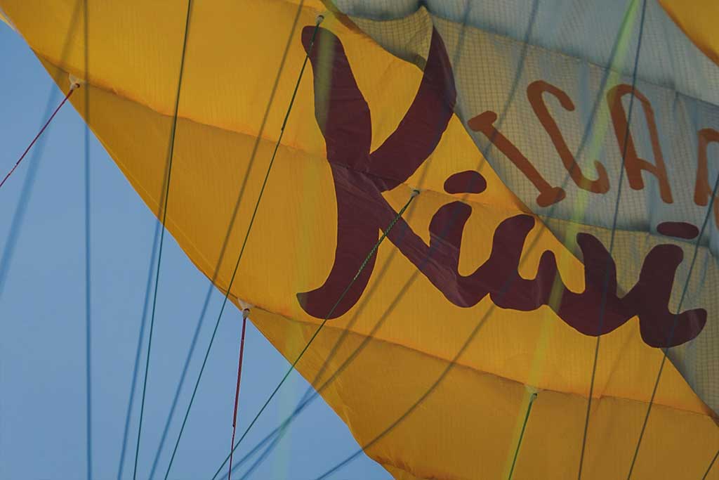 Icaro Kiwi 