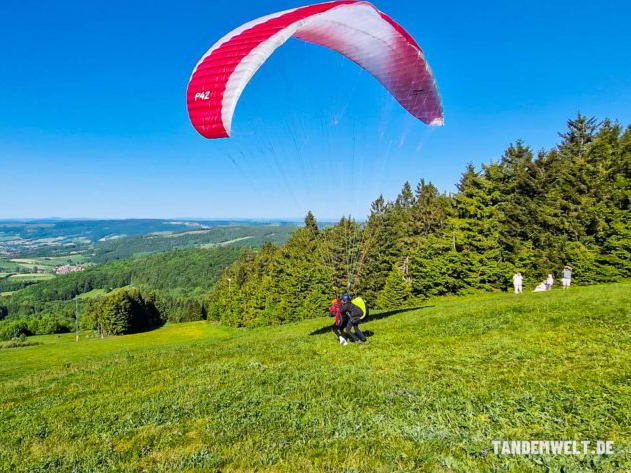 Papillon P42 