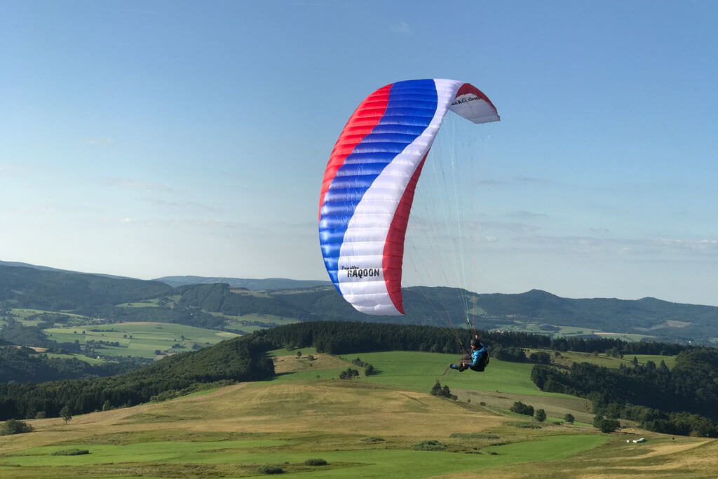Papillon Raqoon 