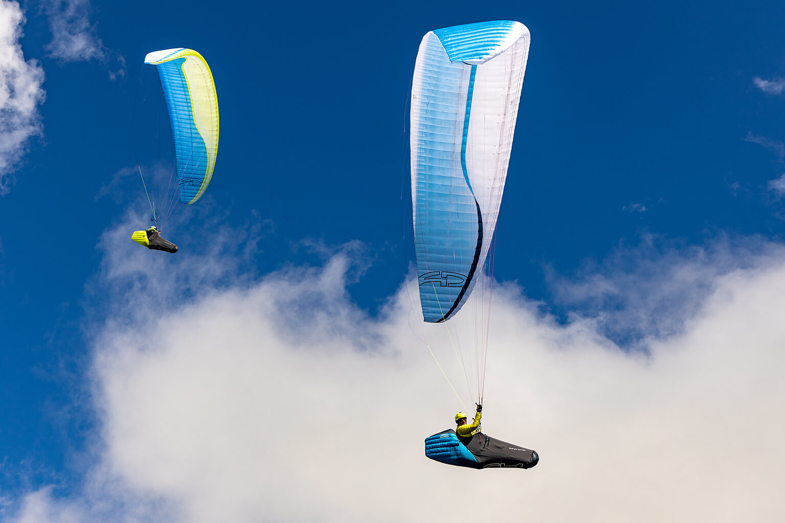 Airdesign The Socks 