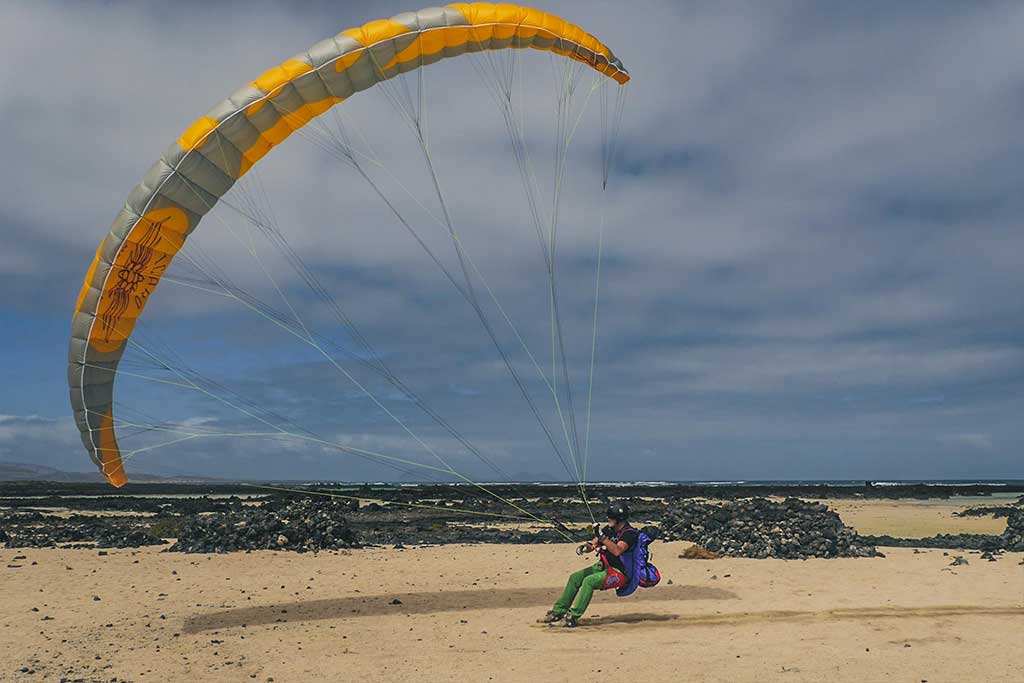 Icaro Kiwi 
