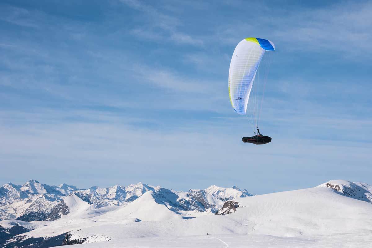Papillon Escape 