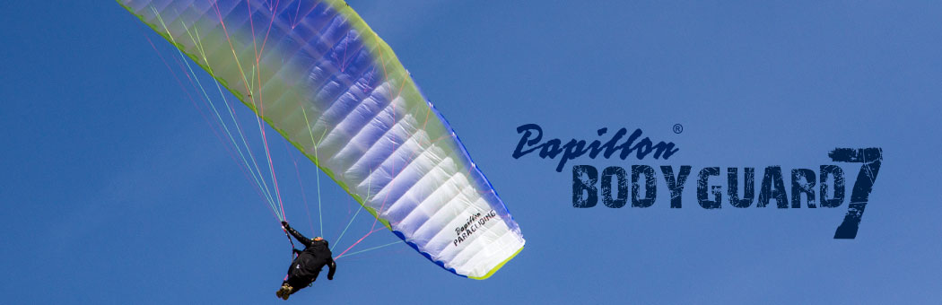 Abseiling Paragliding Paraglider Parachute Equipment 20KN Locking Carabiner 
