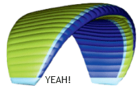 Prion 4 Special Edition