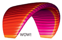 Prion 4 Special Edition