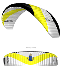 Papillon Himalaya
